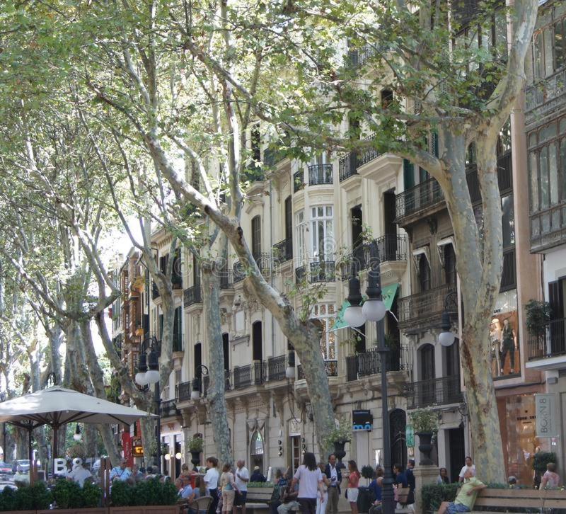 Rambla Palma Center Hotel Buitenkant foto